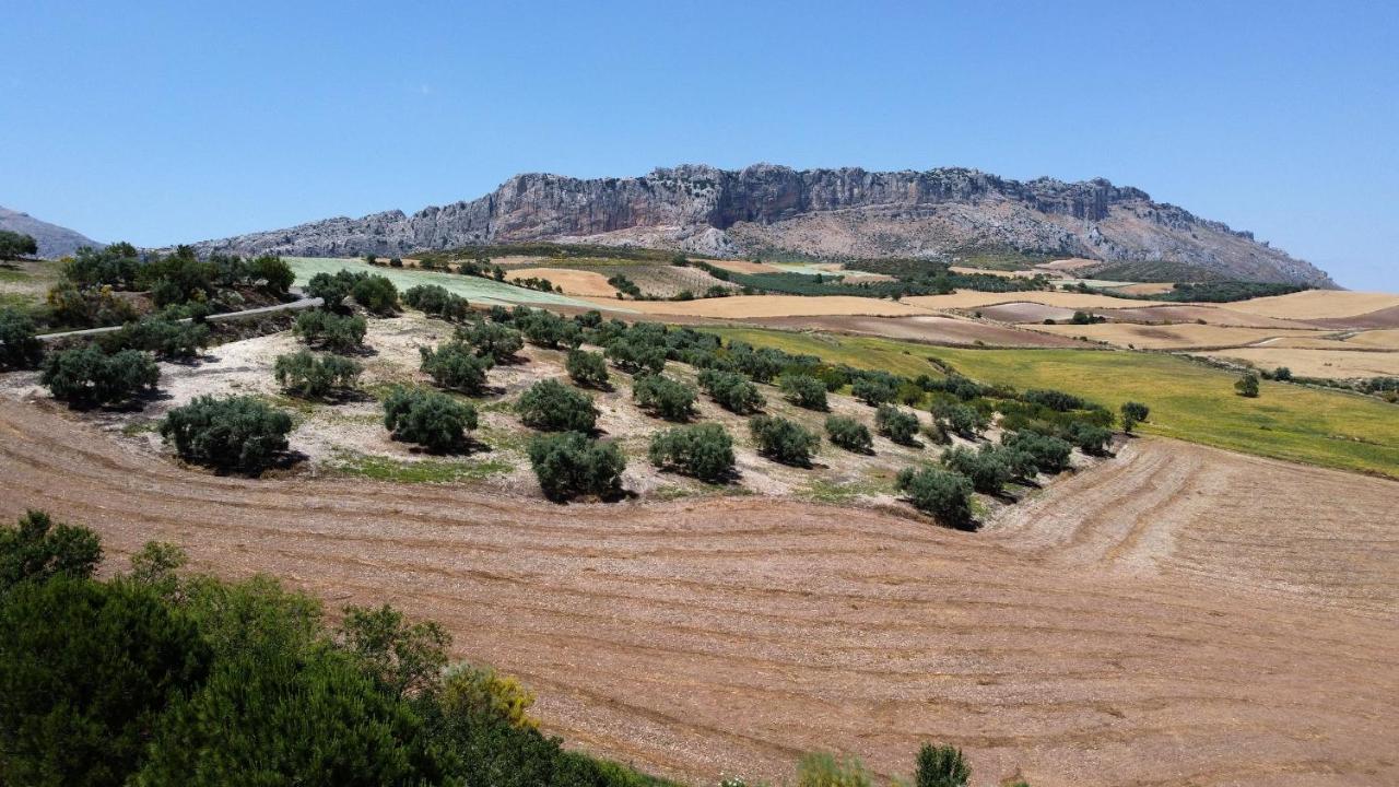 La Posada Del Torcal Villanueva de la Concepción Dış mekan fotoğraf
